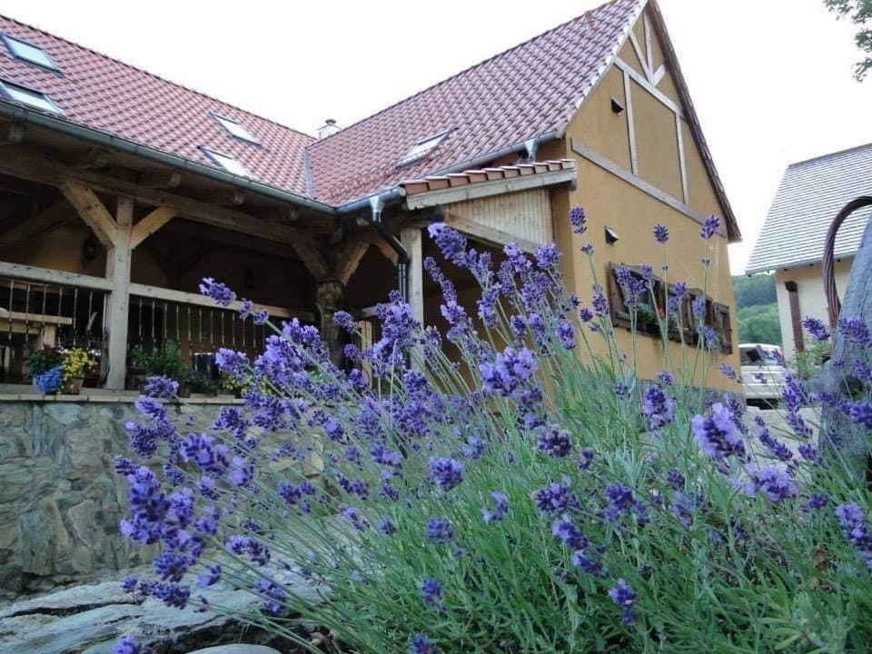 Agroturystyka Agro-Podkowka Marciszow Exterior photo